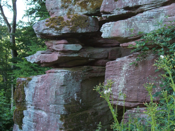 schaecherstein