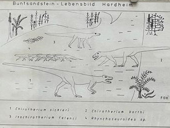 saurierspuren-7