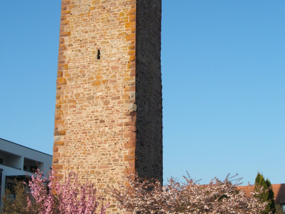 steinerner-turm